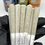 Jungle Boys 0.7G Preroll