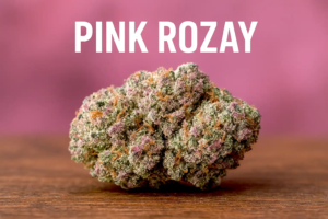 pink rozay strain