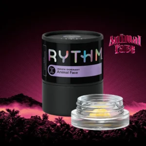rythm animal face