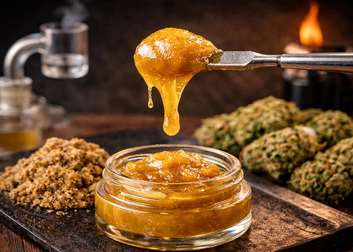 what is hash rosin solventless concentrate dabbing King of Budz