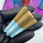 BABY JEETER PRE ROLLS