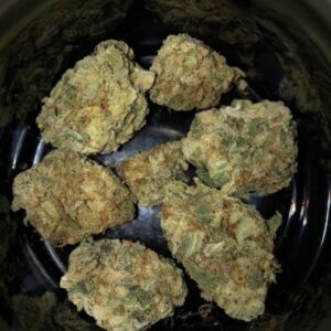 donny burger strain
