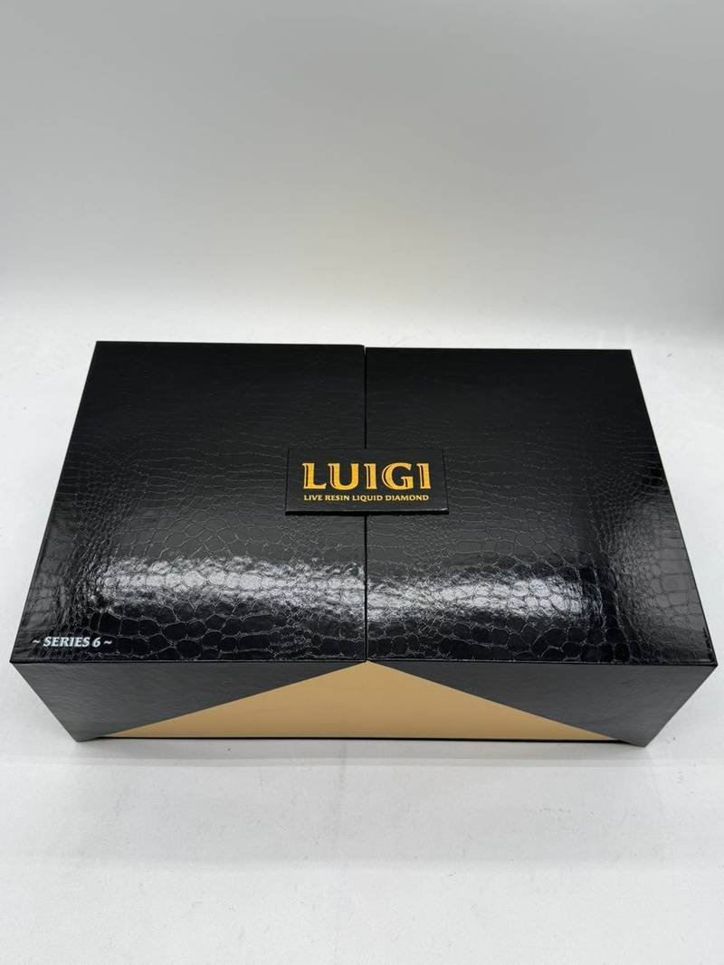 IMG_6010 luigi v6 dispo
