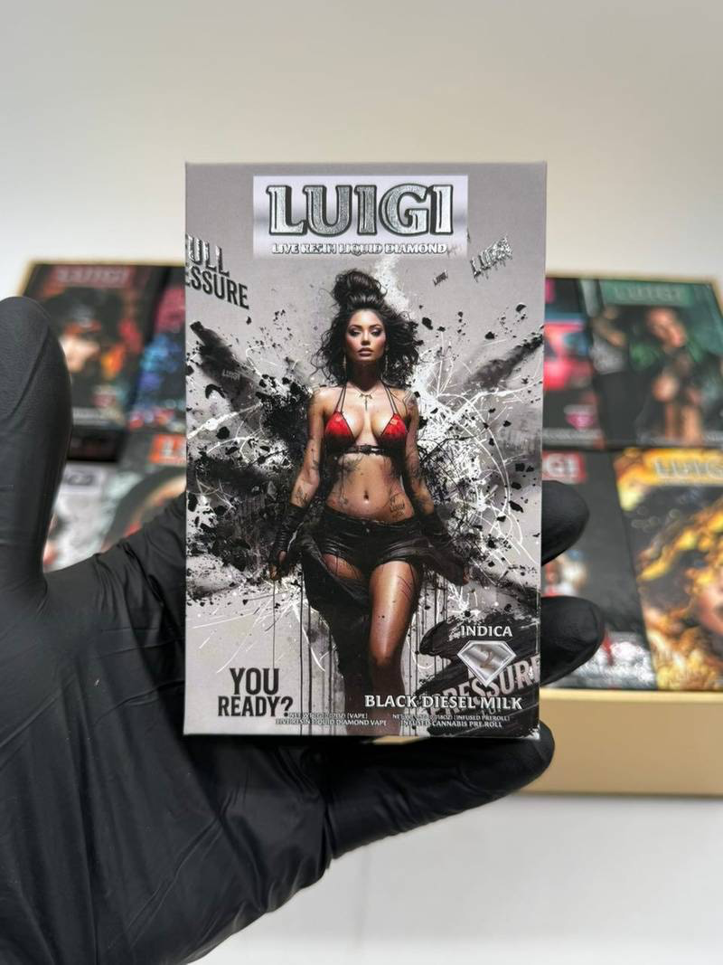 IMG_6013 luigi v6 dispo
