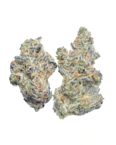 purple punch