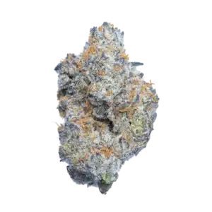 Purple punch strain indica THCA cannabis flower purple dense buds