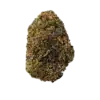 Rainbow runtz strain indica dominant hybrid cannabis flower purple green