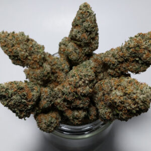 Acapulco gold sativa THCA cannabis flower golden green buds