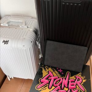 stoner stix 2g disposable