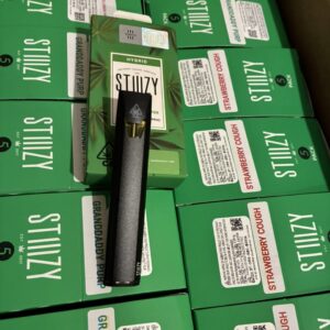 STIIIZY 1 GRAM DISPOSABLE VAPE PEN