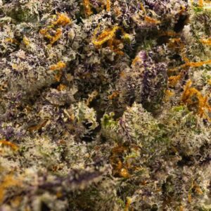 berry gelato strain