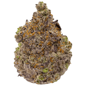 berry gelato strain