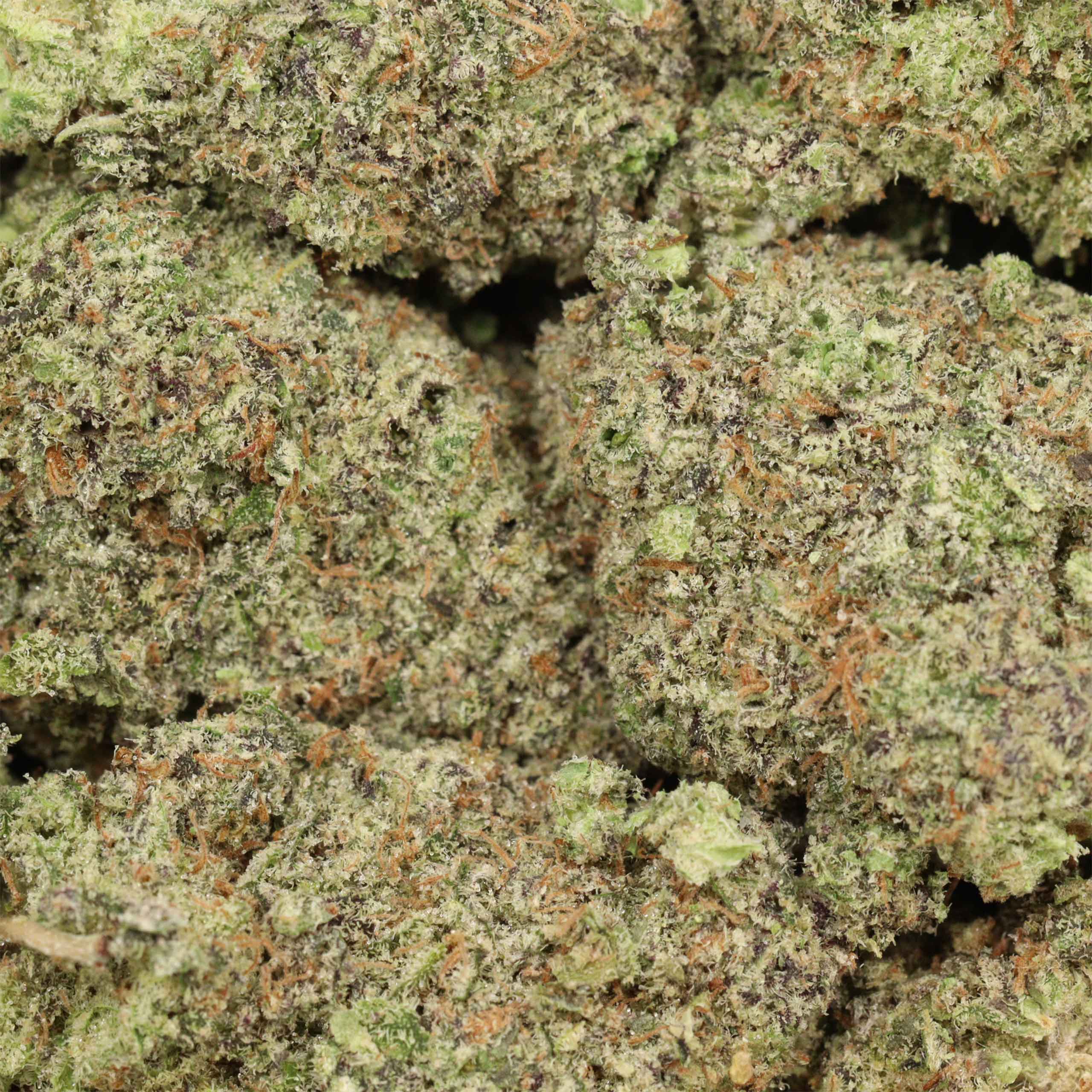 Ak-47-w ak-47 strain