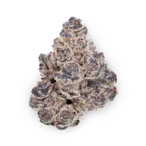 Blue Cookies strain