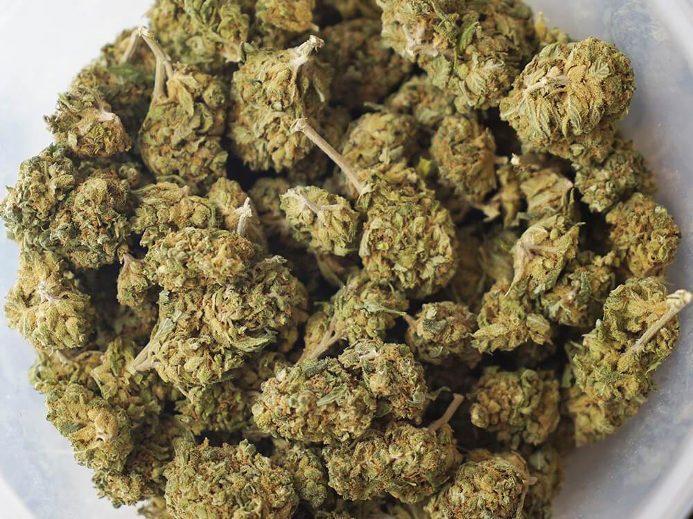 Bubba_Kush_5_1000x750 Bubba Kush Near Me