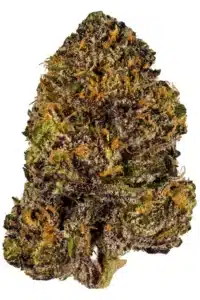 granddaddy purple near me