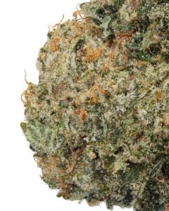 honey bun strain