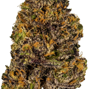 granddaddy purple flower