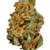 super lemon strain