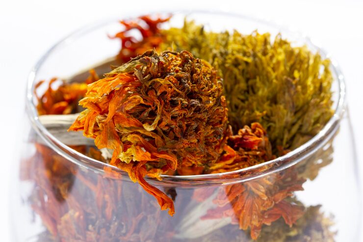Top Exotic Weed Strains
