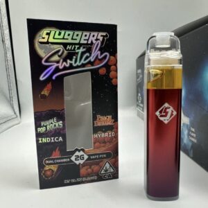 sluggers hit switch 2g
